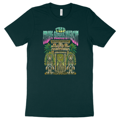 The Mexico Incident 2024 Temple Unisex Tee